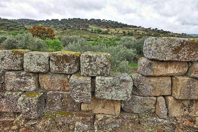 Retaining Wall Risks in NZ Property: The Hidden Liability Every Buyer Overlooks